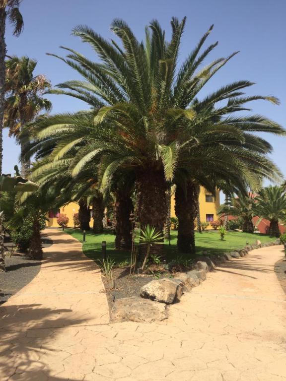 Apartamento Casa Mimi Vista Piscina Corralejo Exterior foto